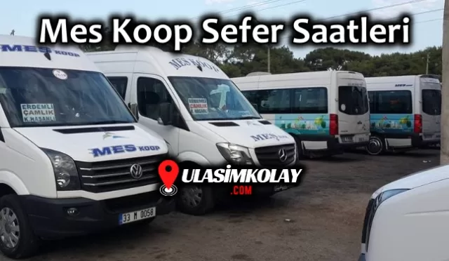 Mes Koop Sefer Saatleri, Çalışma Saatleri – Fiyat Listesi 2024-2025