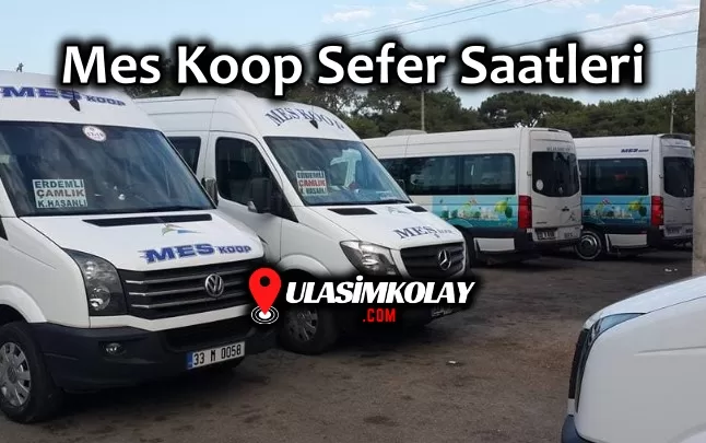 Mes Koop Sefer Saatleri, Çalışma Saatleri – Fiyat Listesi 2024-2025